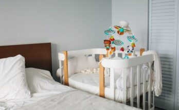 Co-Sleeping Cribs and Baby Bassinets