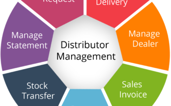 What is DMS and SFA?