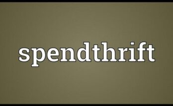 Spendthrift IAS Officer